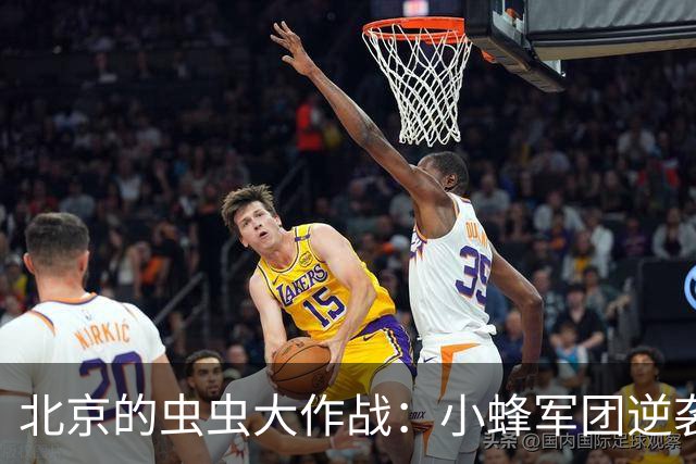 北京的虫虫大作战：小蜂军团逆袭毛毛虫
