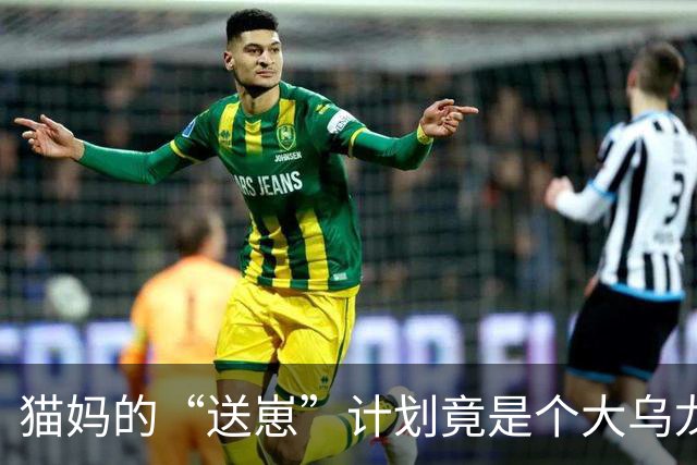 猫妈的“送崽”计划竟是个大乌龙！